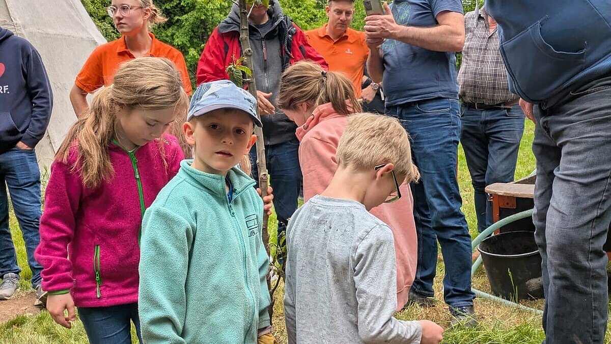 Herzohren, Charismen und Talente