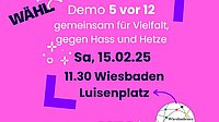 Großdemo in Wiesbaden