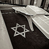 Besuch der Mainzer Synagoge